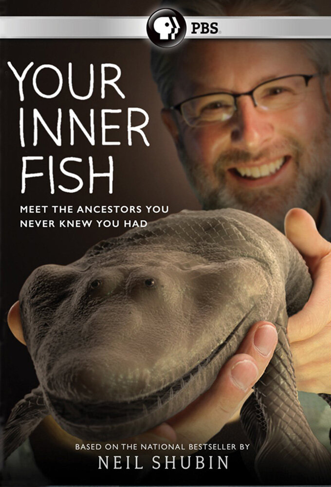 Внутренняя рыба (2014) постер