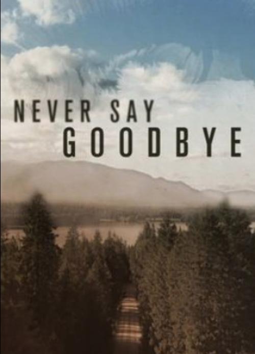 Never Say Goodbye (2019) постер