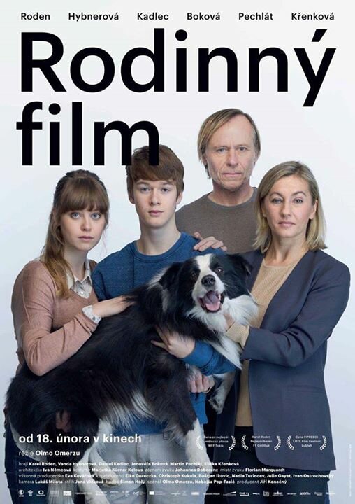 Семейный фильм (2015) постер