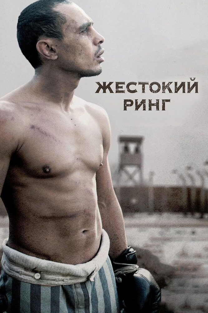 Жестокий ринг (2013) постер