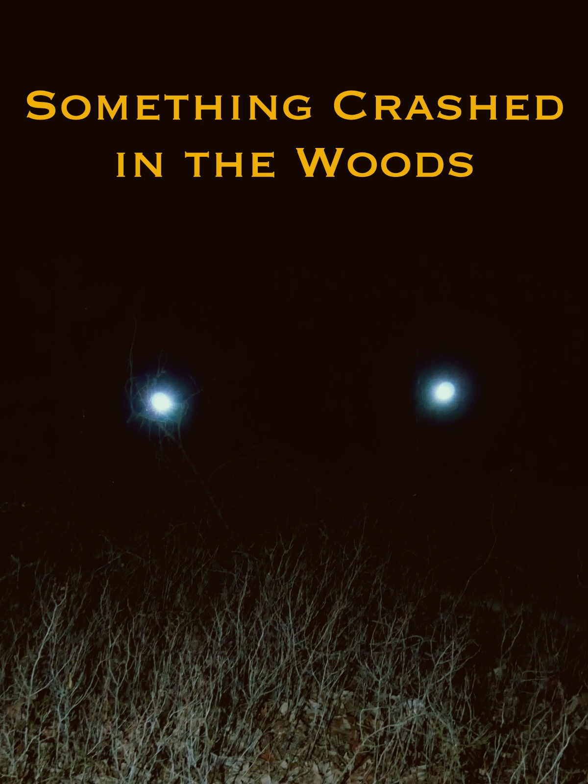 Something Crashed in the Woods (2019) постер