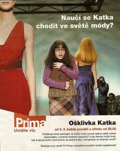 Гадкая Катя (2008) постер