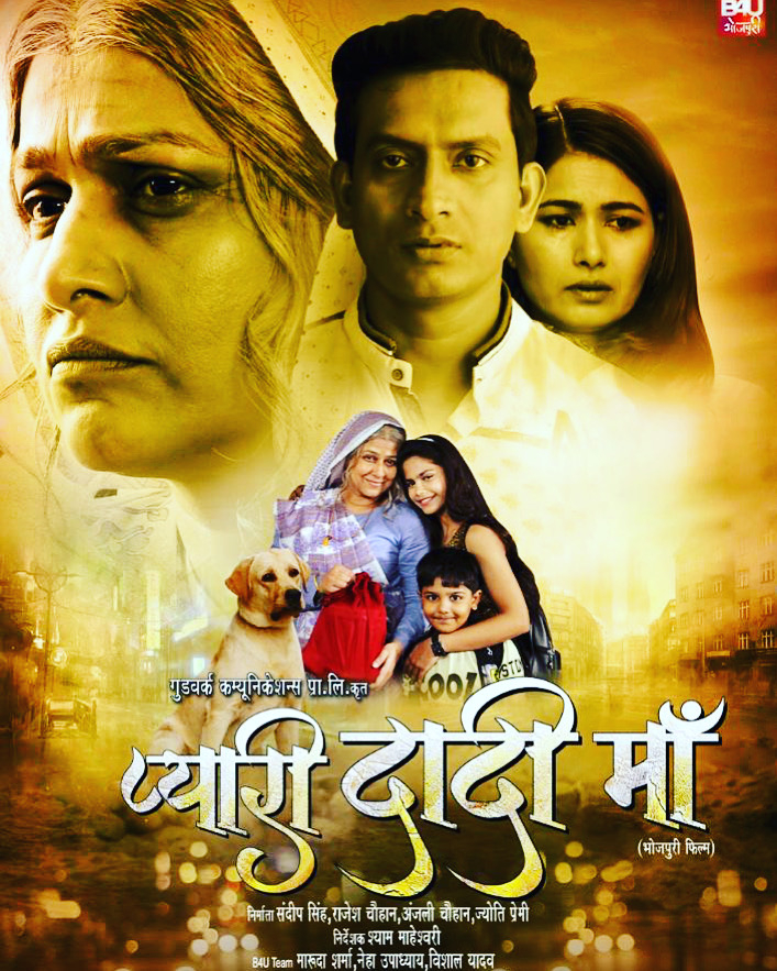 Pyari Dadi Maa (2020) постер