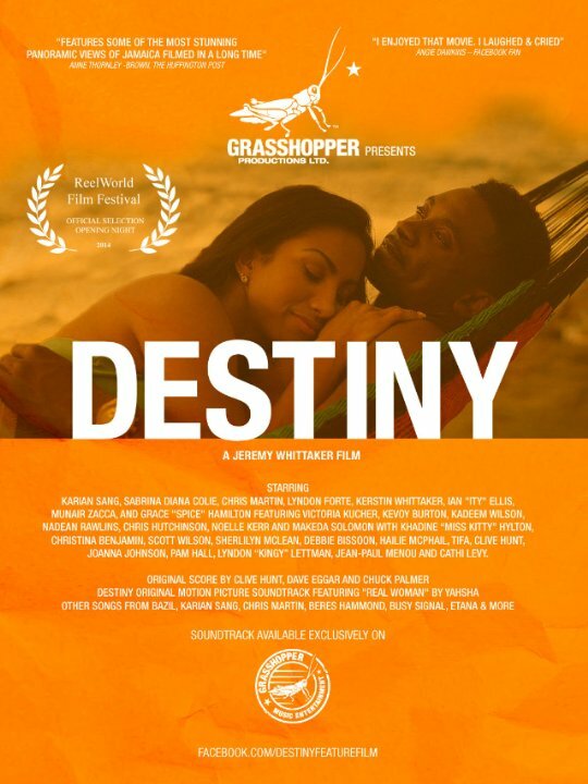 Destiny (2014) постер