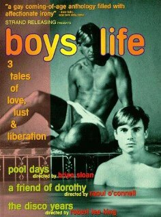 Жизнь парней (1994) постер