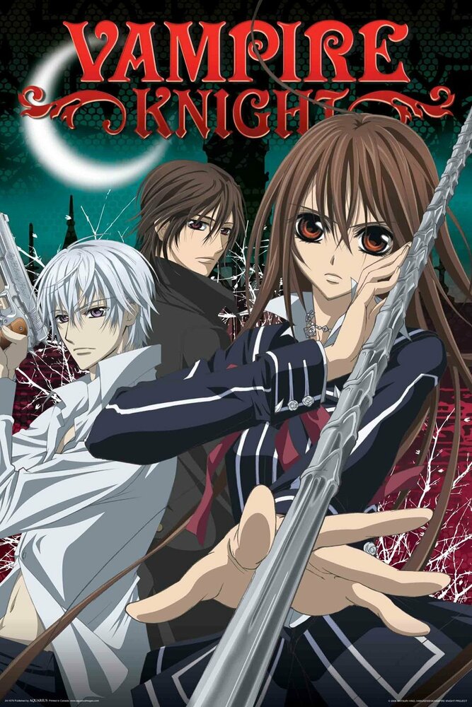 Рыцарь-вампир (2008) постер