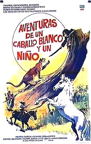 Приключения белого коня и мальчика (1975) постер