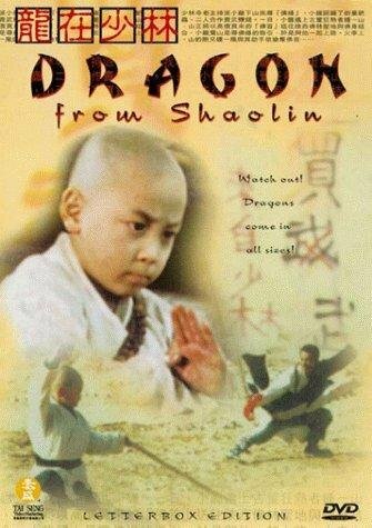 Long zai Shaolin (1996) постер