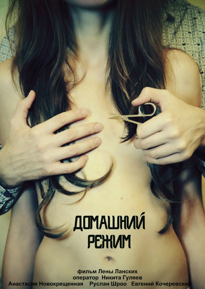 Домашний режим (2014) постер