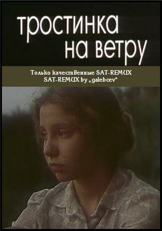 Тростинка на ветру (1980) постер