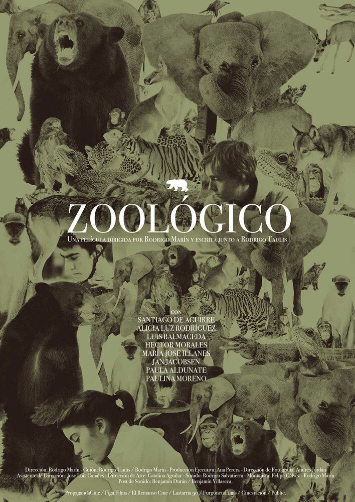 Зоопарк (2011) постер