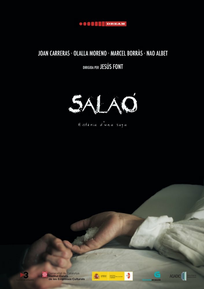Цена соли (2013) постер