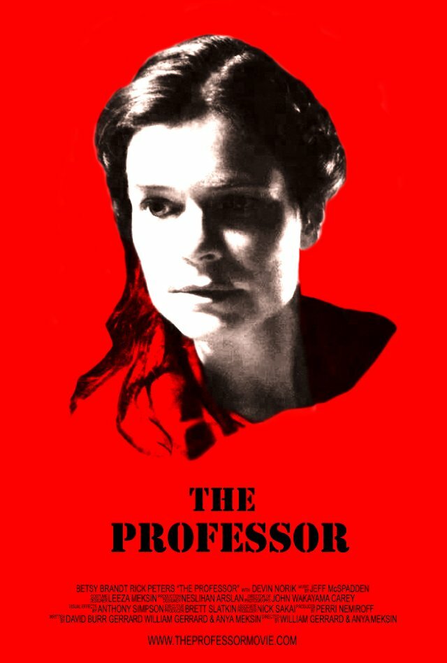 The Professor (2013) постер