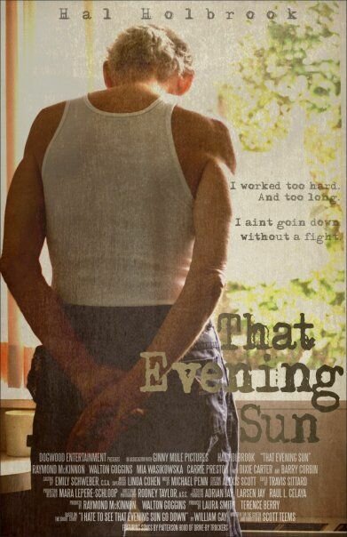 Это вечернее солнце (2009) постер