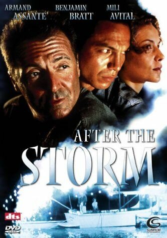 После шторма (2001) постер