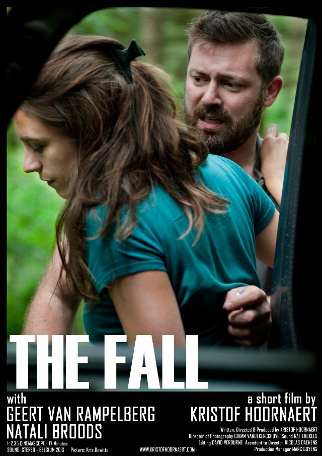 The Fall (2013) постер