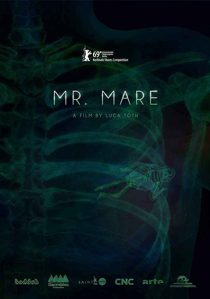 Мистер Маре (2019) постер