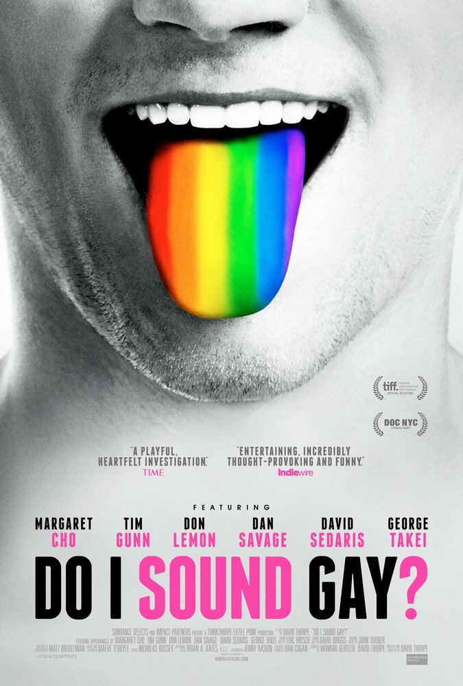 Do I Sound Gay? (2014) постер
