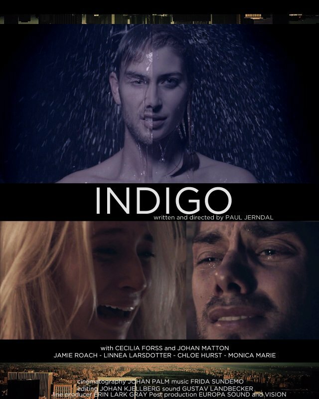 Индиго (2014) постер