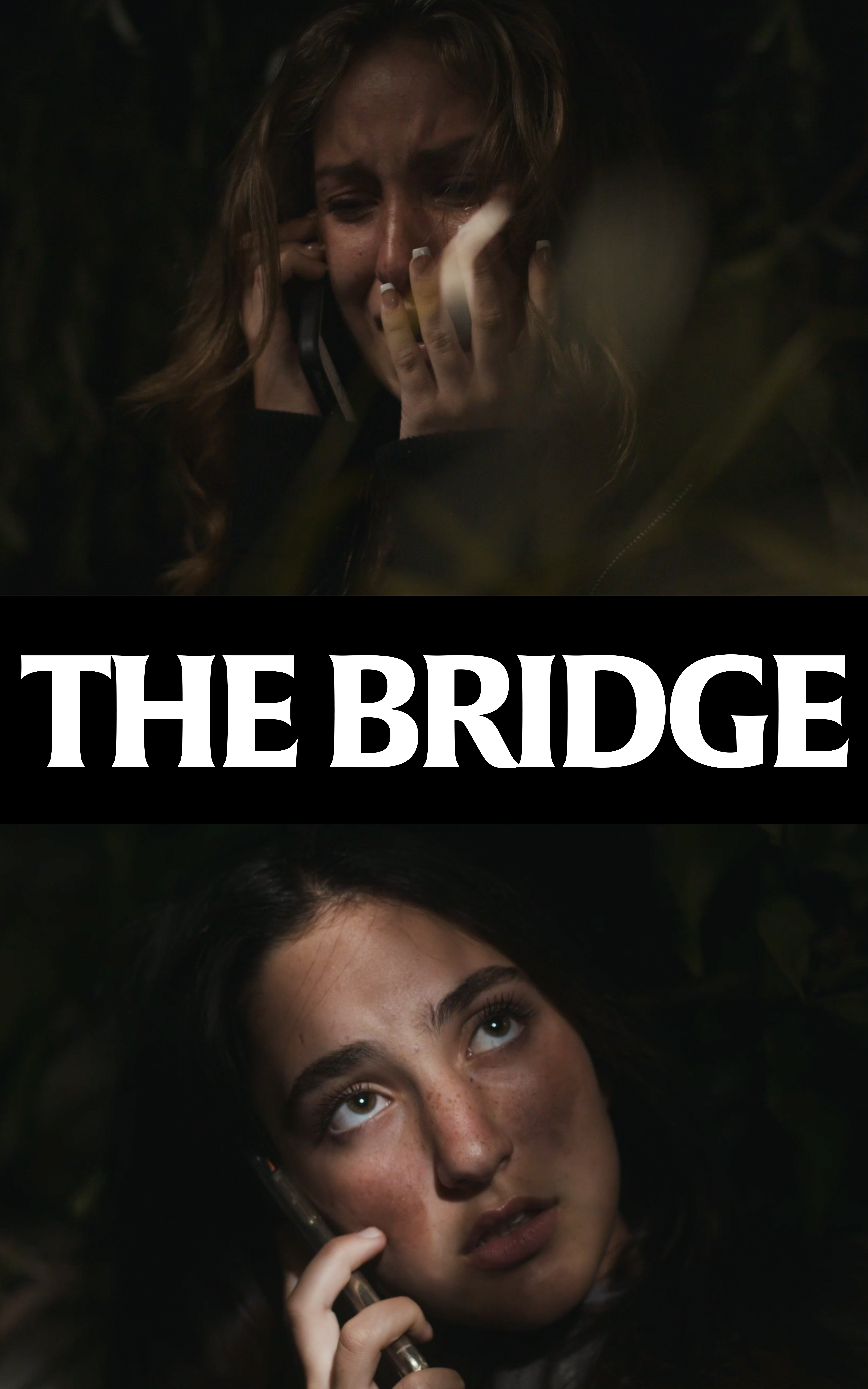 The Bridge (2020) постер