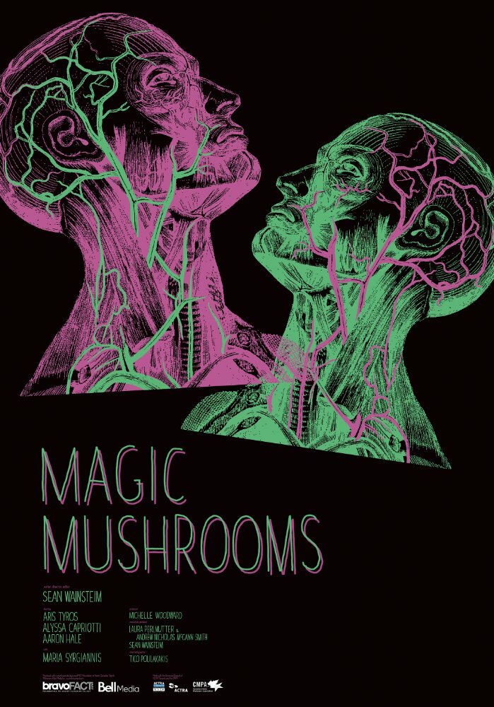 Волшебные грибы (2017) постер