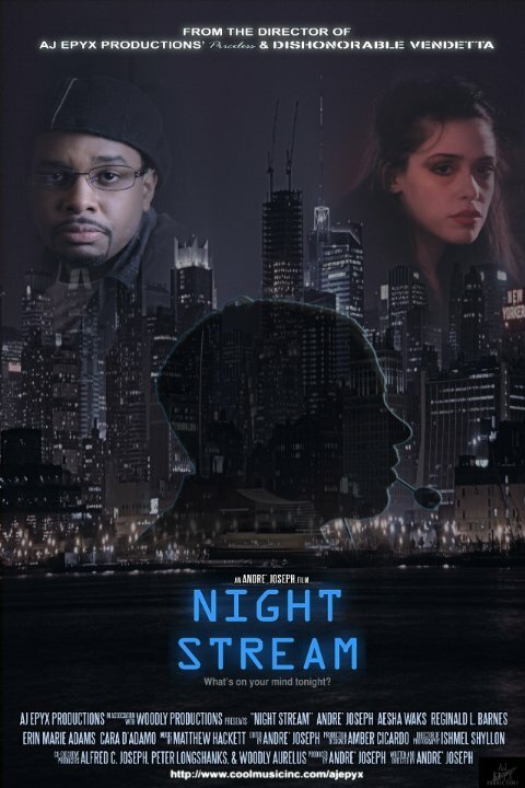 Night Stream (2013) постер