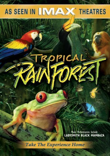 Тропический лес (1992) постер