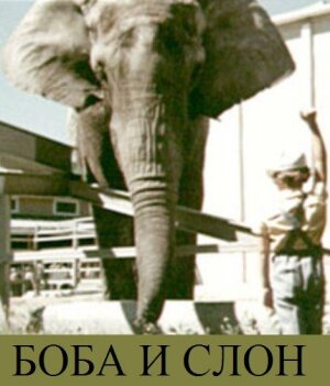 Боба и слон (1972) постер
