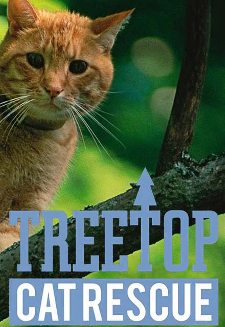 Снимите кошку с дерева (2015) постер